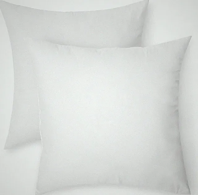 Square Hypoallergenic Pillow Inserts 20 2 Pack for Sofa Bed Couch