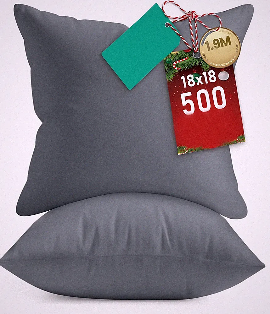 Square Pillow Inserts 16x16, 2 Pack, Plush Sofa Bed Cushions, Supportive, Grey