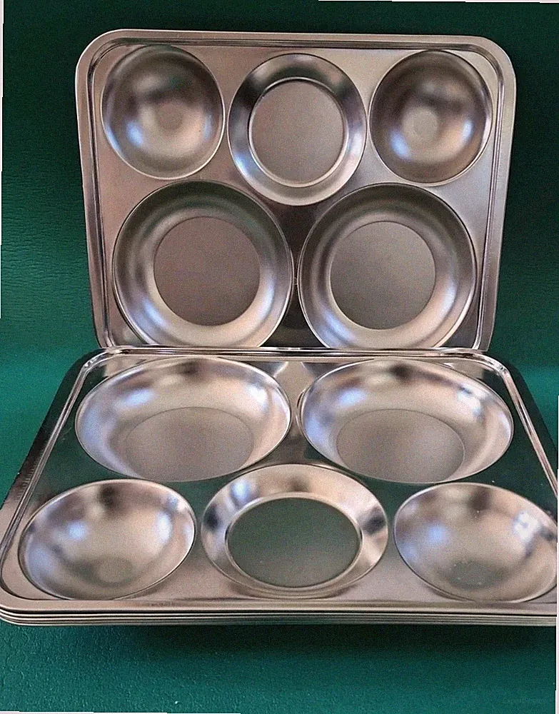 Stainless Steel Divided Plates 5 Sections Tray for Adults, Kids, and Control 6pc
