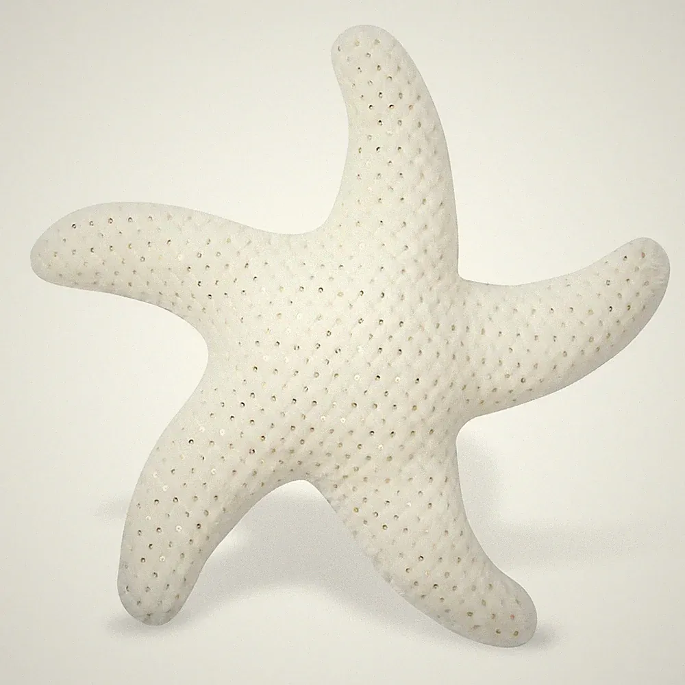 Starfish Pillow for Couch and Bed, Coastal Decor Throw Pillow, Ocean Beach Th...