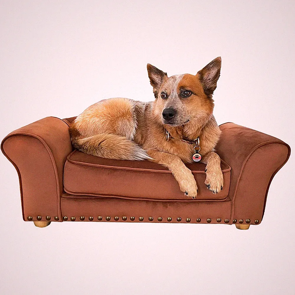 Stylish 34-Inch Faux Velvet Dog Bed for Medium Pets - Durable & Cozy