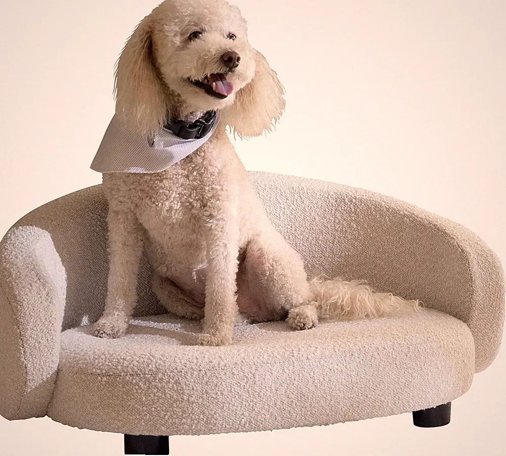 Stylish Arc Crescent Pet Sofa Bed for Dogs & Cats with Tufted Cushion, Ivory