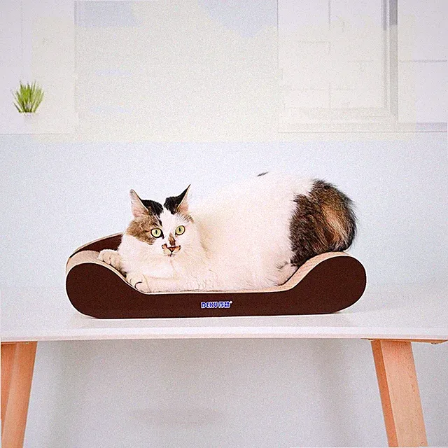 The cat sofa