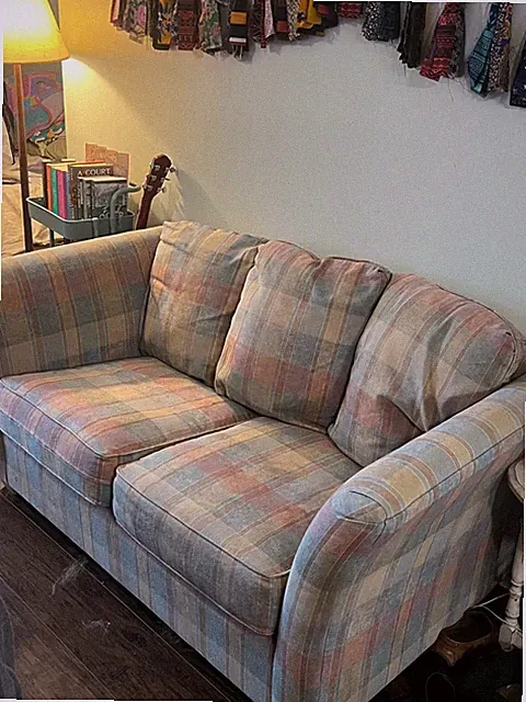 Thomasville Multicolored Couch