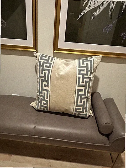Throw Pillow 22”