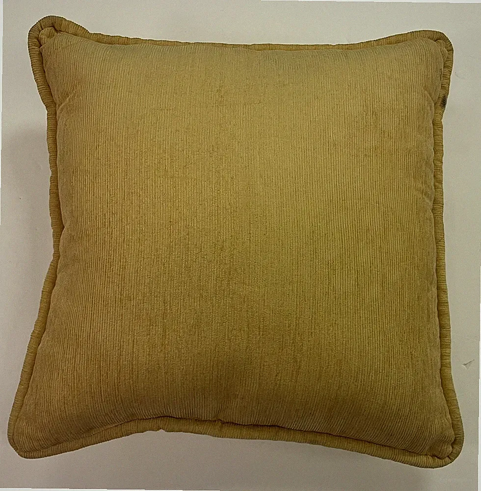 Throw pillow for couch