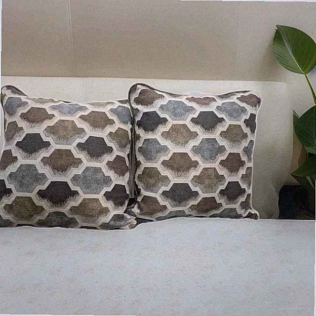 Two Brand New Couch Throw Pillows