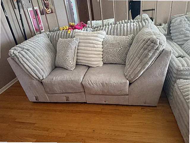 Two Seater Gray Fur Sofa Couch Living Room Furniture