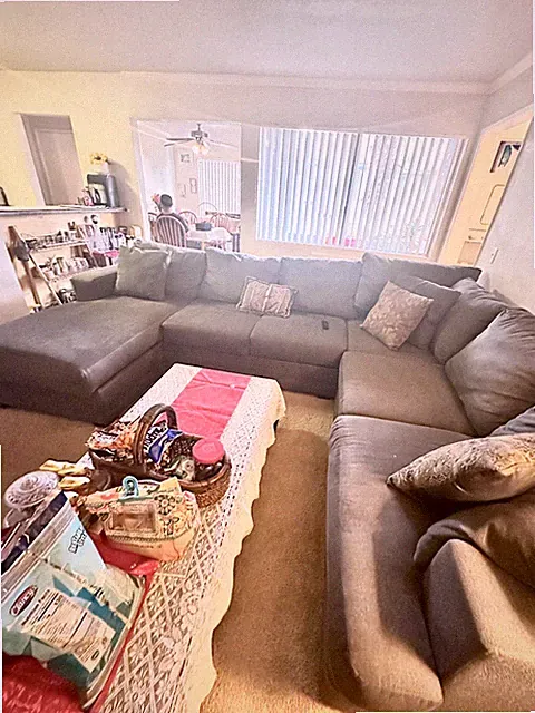 u shaped couch sectional