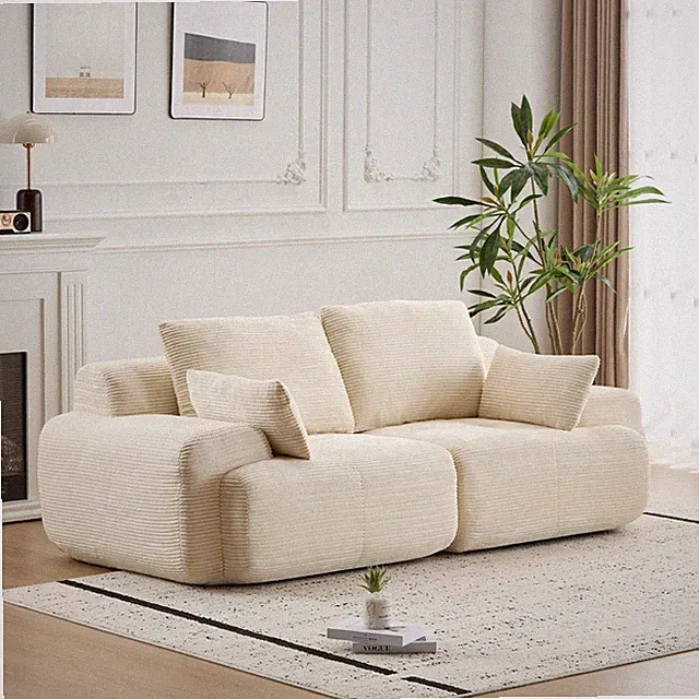 USA Stock 2 Seater Large Modular Sectional Couches Memory Foam Compressed Sofa