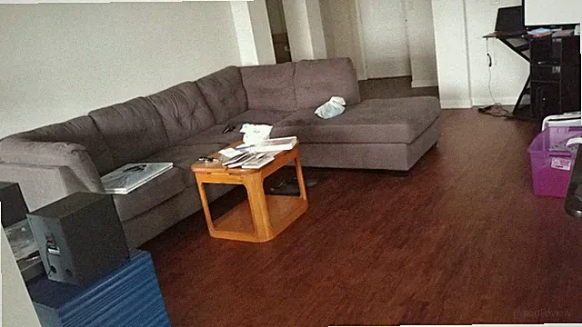 Used Sectional Sofa Couch