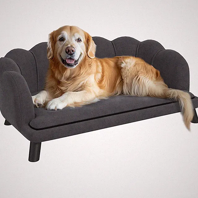 Velvet Large Dog Couch with Foam Cushioning for M L Dogs, Dark Gray