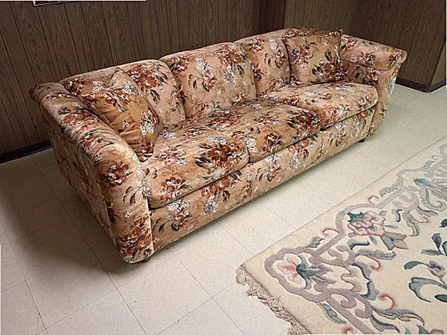 Vintage Floral Pullout Sofa Bed