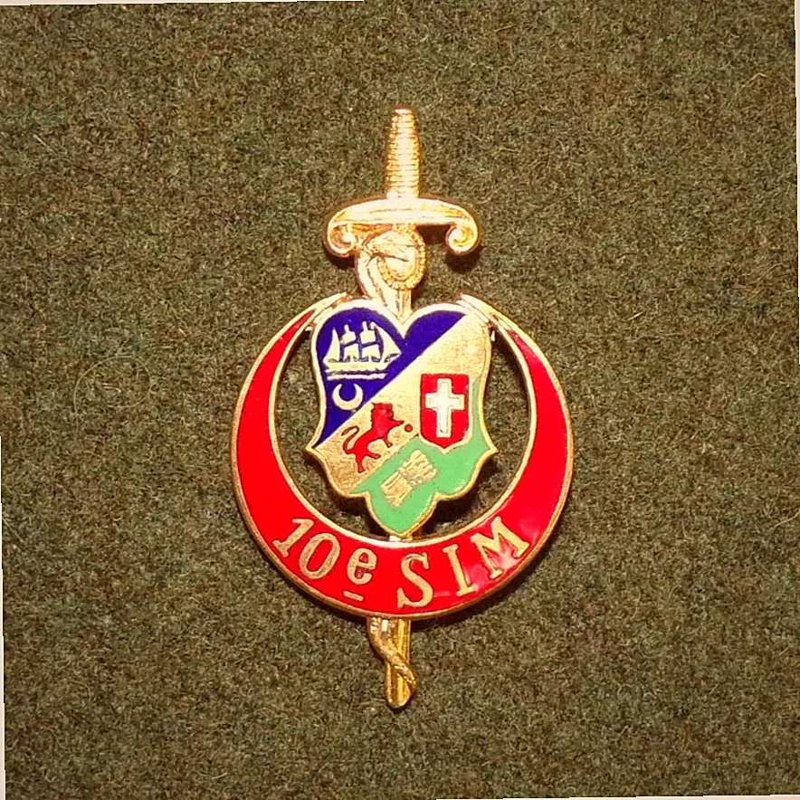 Vintage French Army 10th Military Nurses Section 10e SIM Pocket Badge