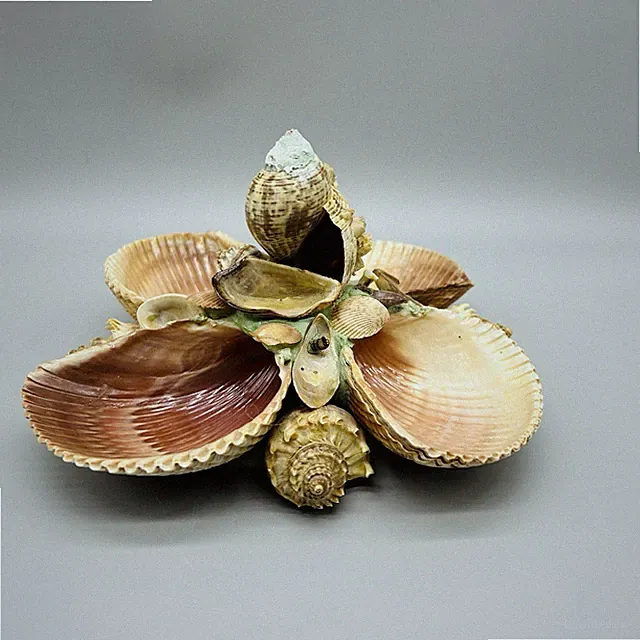 Vintage French Natural Seashell 4 Section Server 8”