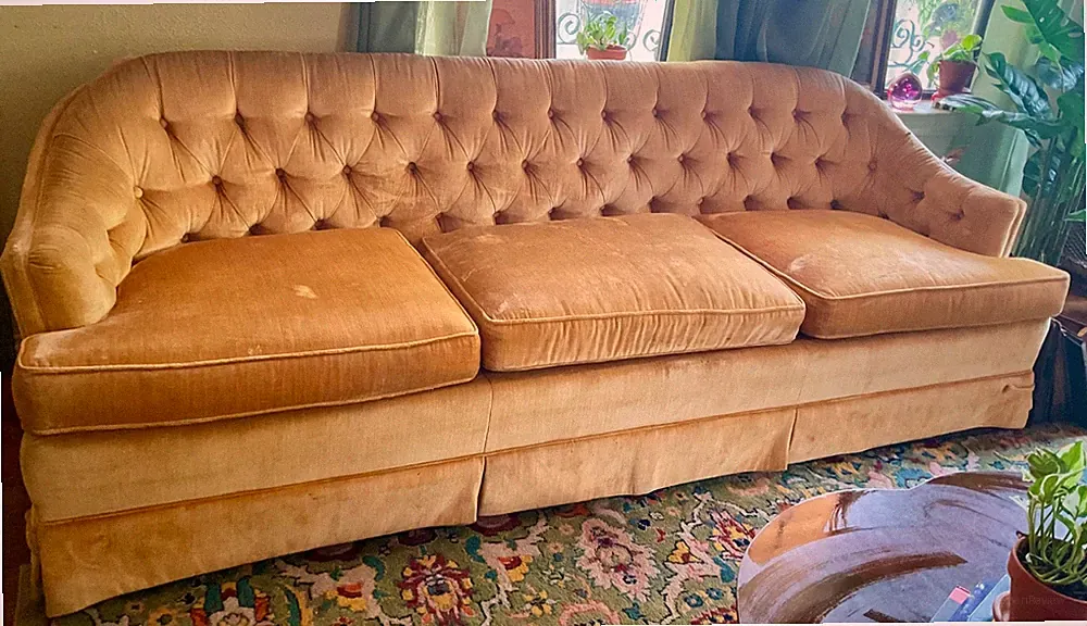 Vintage Heritage Curved Velvet Sofa – Tufted Mid-Century Hollywood regency couch
