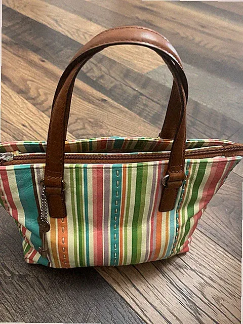 VTG Fossil Stripe Multi Color Handbag Middle Section Zipper 2 Side Sections