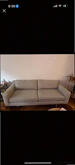 West Elm Pearl Gray Deco Weave Eddy Sofa (74")