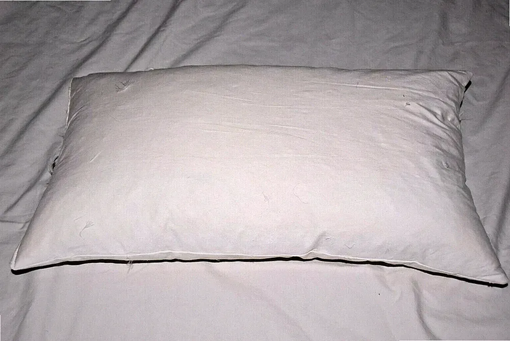 WEST ELM SOFA BED 19" x 11" White Waterfowl FEATHER PILLOW decor EUC Comfy