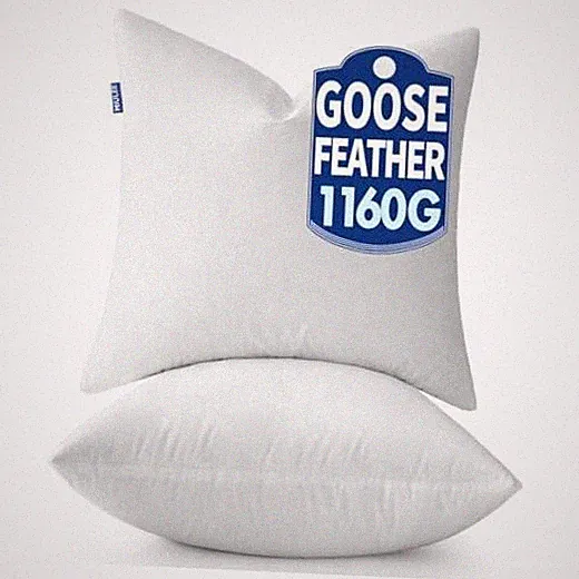 xGoose Feather Down Pillows with 100% Cotton Cover, Set of Soft 22x22 inch 2