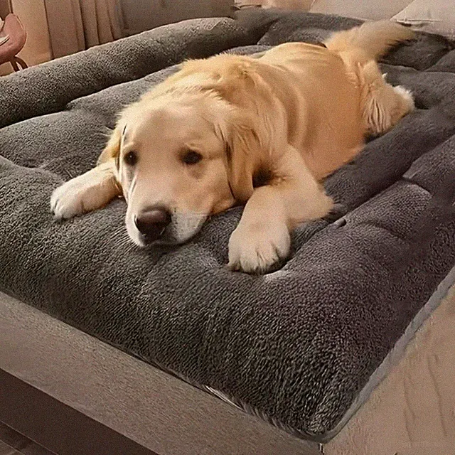 XXLargePlush Dog Bed Sofa Thickened Super Soft Polyester Pet Mat